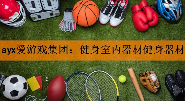<strong>ayx爱游戏集团：健身室内器材健身器材</strong>