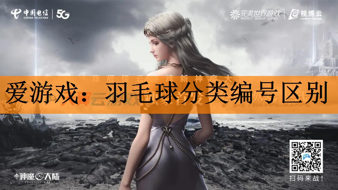 <strong>爱游戏：羽毛球分类编号区别</strong>