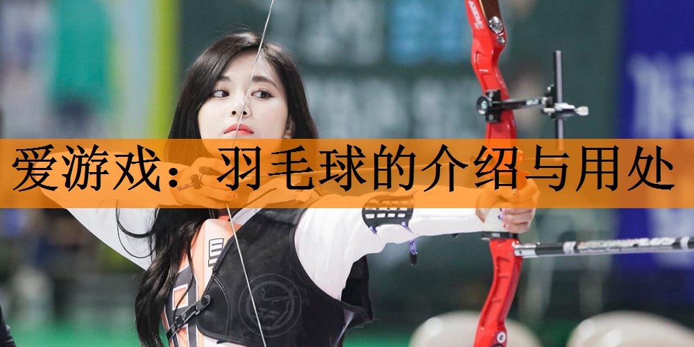 <strong>爱游戏：羽毛球的介绍与用处</strong>